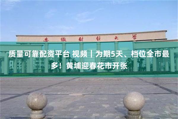 质量可靠配资平台 视频｜为期5天、档位全市最多！黄埔迎春花市开张