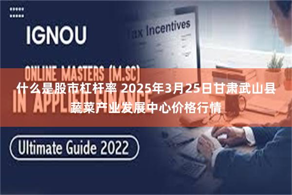 什么是股市杠杆率 2025年3月25日甘肃武山县蔬菜产业发展中心价格行情
