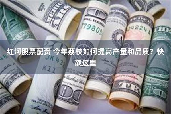 红河股票配资 今年荔枝如何提高产量和品质？快戳这里