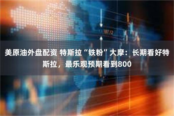 美原油外盘配资 特斯拉“铁粉”大摩：长期看好特斯拉，最乐观预期看到800