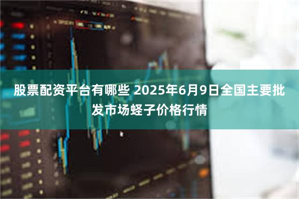股票配资平台有哪些 2025年6月9日全国主要批发市场蛏子价格行情
