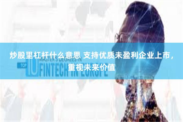 炒股里杠杆什么意思 支持优质未盈利企业上市，重视未来价值