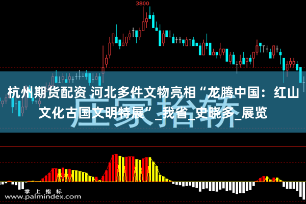 杭州期货配资 河北多件文物亮相“龙腾中国：红山文化古国文明特展”_我省_史晓多_展览