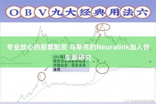 专业放心的股票配资 马斯克的Neuralink加入仿生眼研究
