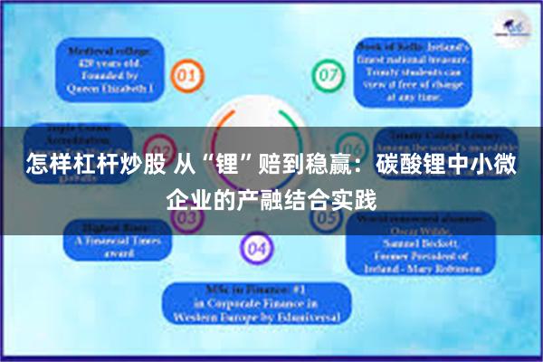 怎样杠杆炒股 从“锂”赔到稳赢：碳酸锂中小微企业的产融结合实践