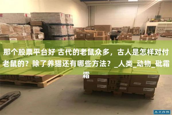 那个股票平台好 古代的老鼠众多，古人是怎样对付老鼠的？除了养猫还有哪些方法？_人类_动物_砒霜