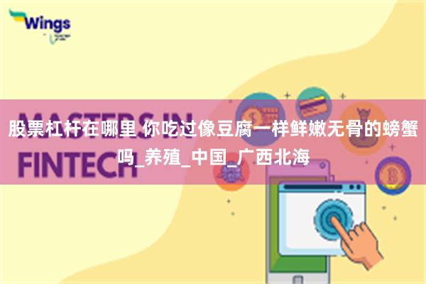 股票杠杆在哪里 你吃过像豆腐一样鲜嫩无骨的螃蟹吗_养殖_中国_广西北海