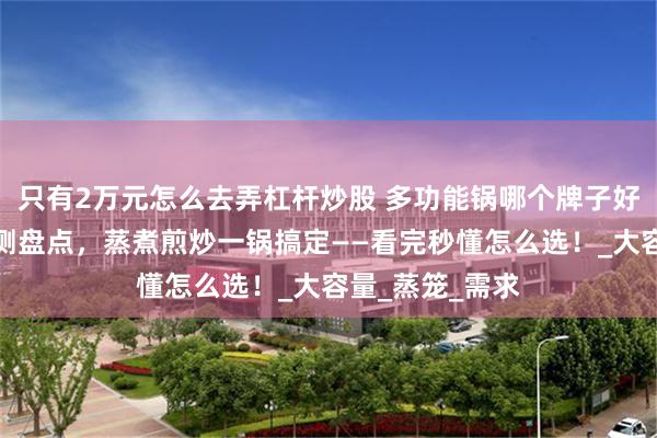 只有2万元怎么去弄杠杆炒股 多功能锅哪个牌子好？十大爆款实测盘点，蒸煮煎炒一锅搞定——看完秒懂怎么选！_大容量_蒸笼_需求