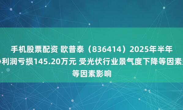 手机股票配资 欧普泰（836414）2025年半年度净利润亏损145.20万元 受光伏行业景气度下降等因素影响