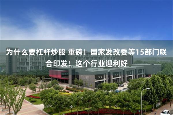 为什么要杠杆炒股 重磅！国家发改委等15部门联合印发！这个行业迎利好