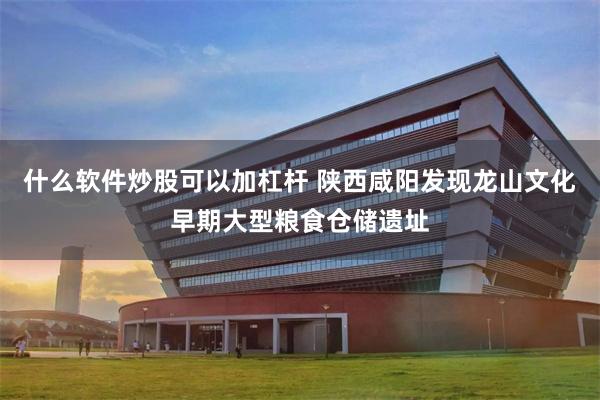 什么软件炒股可以加杠杆 陕西咸阳发现龙山文化早期大型粮食仓储遗址