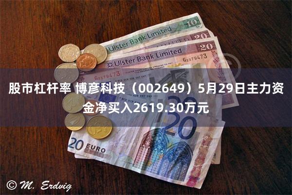 股市杠杆率 博彦科技（002649）5月29日主力资金净买入2619.30万元