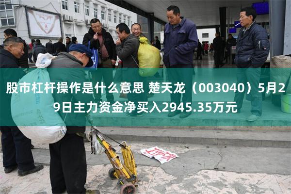 股市杠杆操作是什么意思 楚天龙（003040）5月29日主力资金净买入2945.35万元