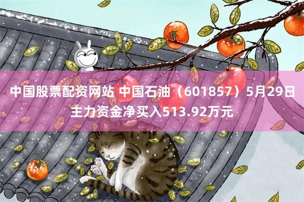 中国股票配资网站 中国石油（601857）5月29日主力资金净买入513.92万元