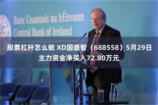 股票杠杆怎么做 XD国盛智（688558）5月29日主力资金净买入72.80万元
