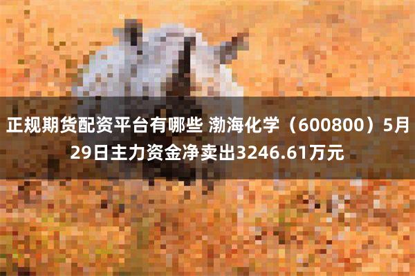 正规期货配资平台有哪些 渤海化学（600800）5月29日主力资金净卖出3246.61万元