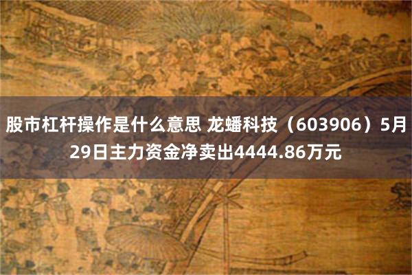 股市杠杆操作是什么意思 龙蟠科技（603906）5月29日主力资金净卖出4444.86万元