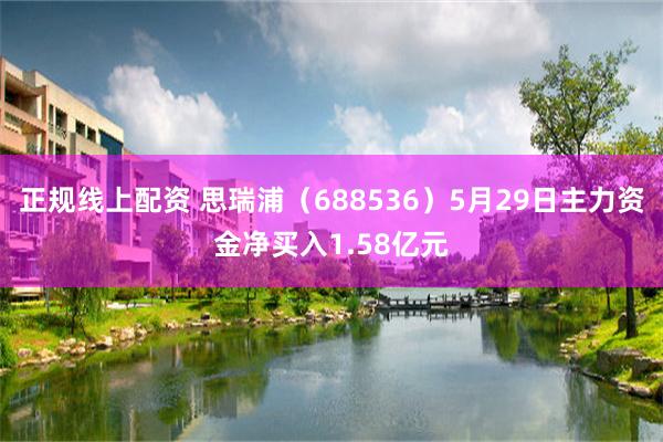 正规线上配资 思瑞浦（688536）5月29日主力资金净买入1.58亿元