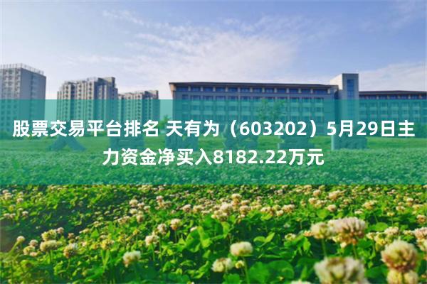 股票交易平台排名 天有为（603202）5月29日主力资金净买入8182.22万元