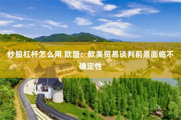 炒股杠杆怎么用 欧盟：欧美贸易谈判前景面临不确定性