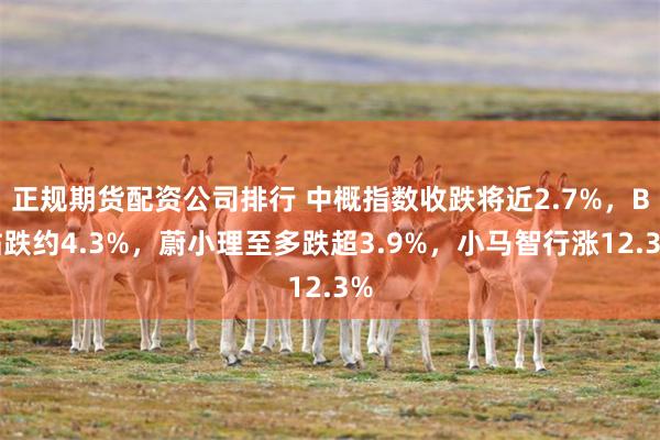 正规期货配资公司排行 中概指数收跌将近2.7%，B站跌约4.3%，蔚小理至多跌超3.9%，小马智行涨12.3%