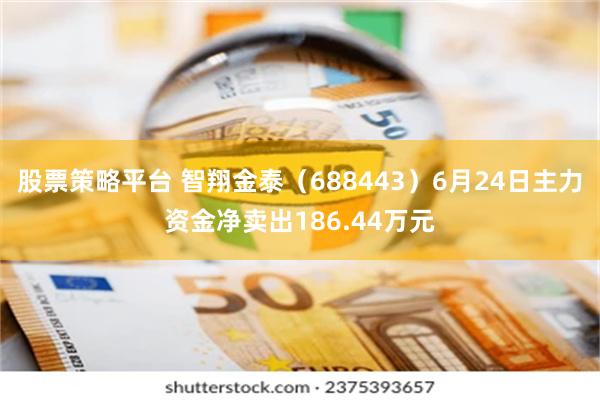 股票策略平台 智翔金泰（688443）6月24日主力资金净卖出186.44万元