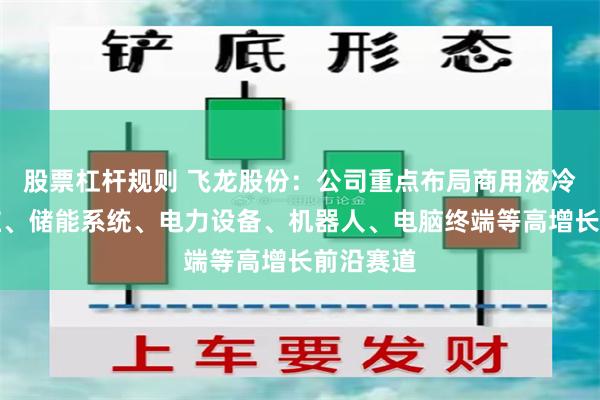 股票杠杆规则 飞龙股份：公司重点布局商用液冷、充电桩、储能系统、电力设备、机器人、电脑终端等高增长前沿赛道