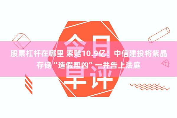 股票杠杆在哪里 索赔10.9亿！中信建投将紫晶存储“造假帮凶”一并告上法庭
