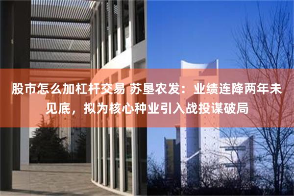 股市怎么加杠杆交易 苏垦农发:业绩连降两年未见底,拟为核心种业引入战投谋破局