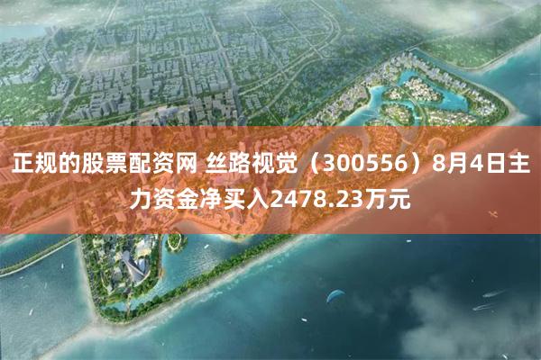 正规的股票配资网 丝路视觉（300556）8月4日主力资金净买入2478.23万元
