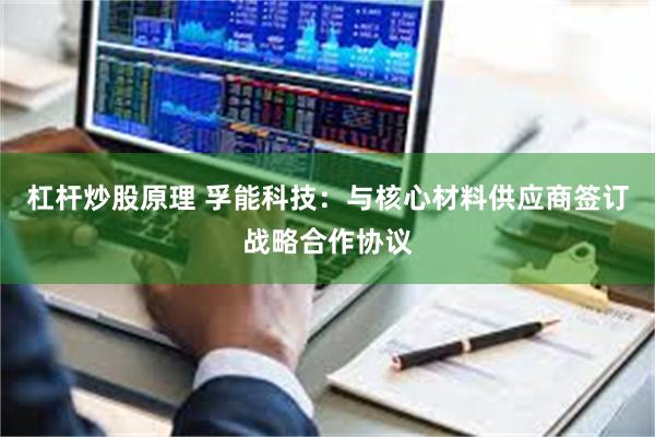杠杆炒股原理 孚能科技：与核心材料供应商签订战略合作协议