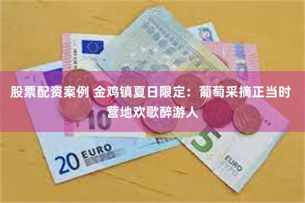 股票配资案例 金鸡镇夏日限定：葡萄采摘正当时 营地欢歌醉游人