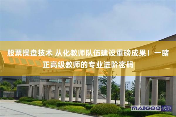 股票操盘技术 从化教师队伍建设重磅成果！一睹正高级教师的专业进阶密码