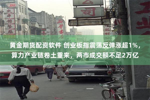 黄金期货配资软件 创业板指震荡反弹涨超1%，算力产业链卷土重来，两市成交额不足2万亿