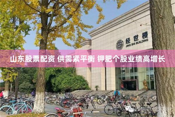 山东股票配资 供需紧平衡 钾肥个股业绩高增长