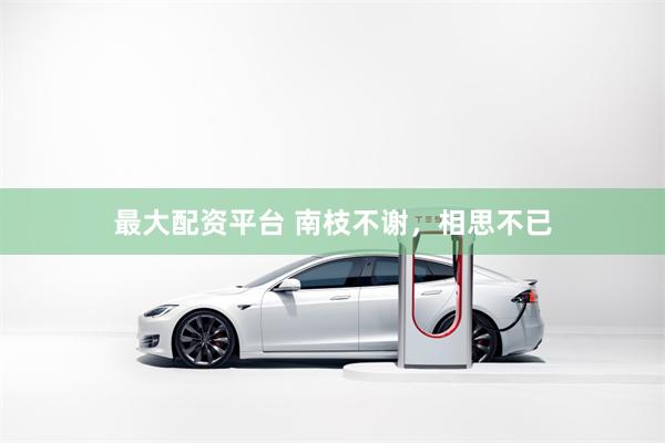 最大配资平台 南枝不谢，相思不已