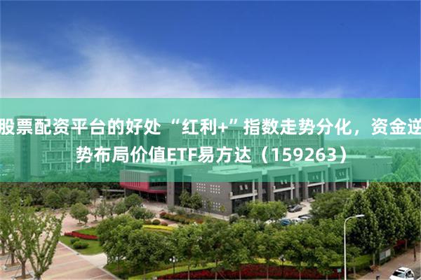 股票配资平台的好处 “红利+”指数走势分化，资金逆势布局价值ETF易方达（159263）
