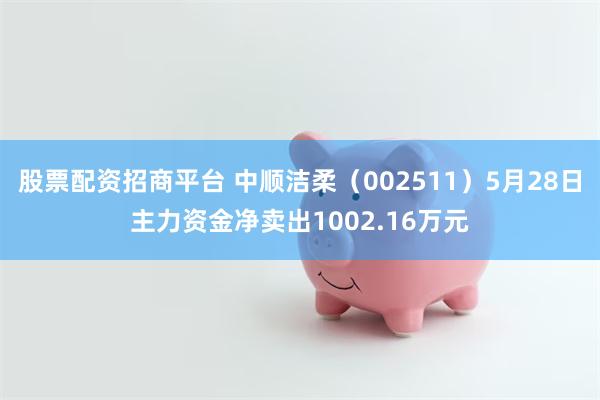 股票配资招商平台 中顺洁柔(002511)5月28日主力资金净卖出1002.16万元