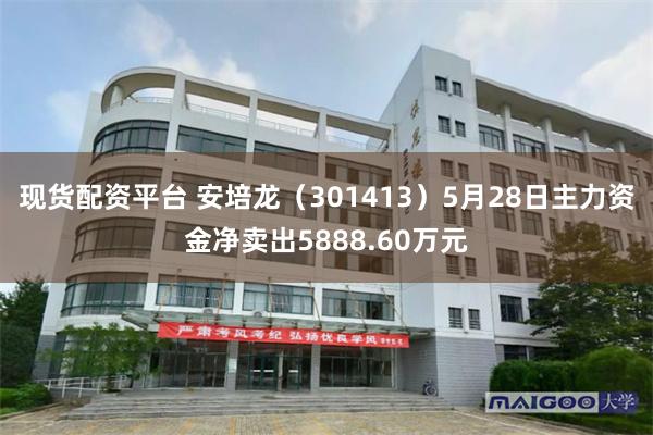 现货配资平台 安培龙（301413）5月28日主力资金净卖出5888.60万元