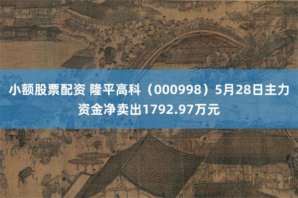 小额股票配资 隆平高科（000998）5月28日主力资金净卖出1792.97万元