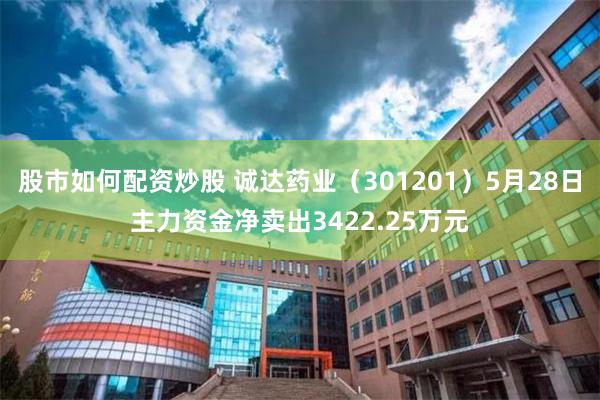 股市如何配资炒股 诚达药业（301201）5月28日主力资金净卖出3422.25万元