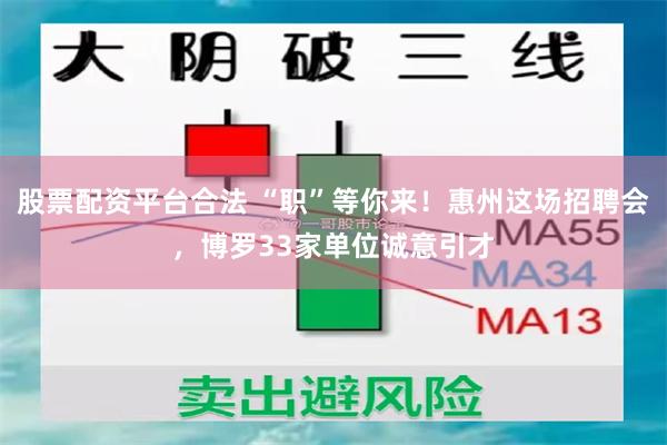 股票配资平台合法 “职”等你来！惠州这场招聘会，博罗33家单位诚意引才