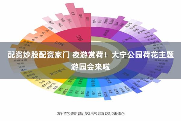 配资炒股配资家门 夜游赏荷！大宁公园荷花主题游园会来啦