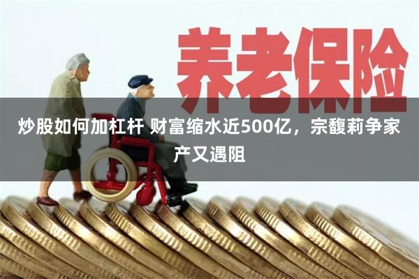 炒股如何加杠杆 财富缩水近500亿，宗馥莉争家产又遇阻