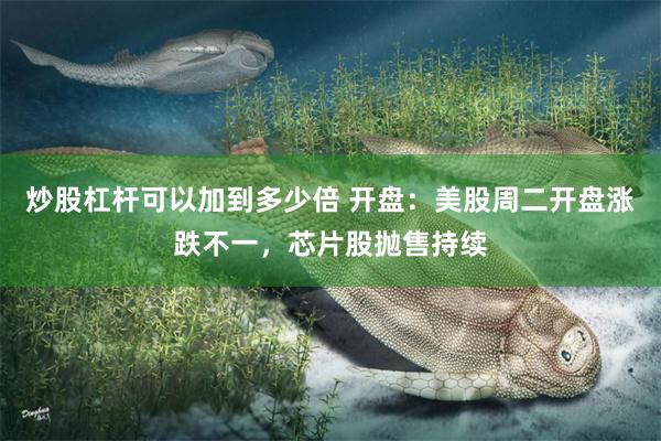 炒股杠杆可以加到多少倍 开盘：美股周二开盘涨跌不一，芯片股抛售持续