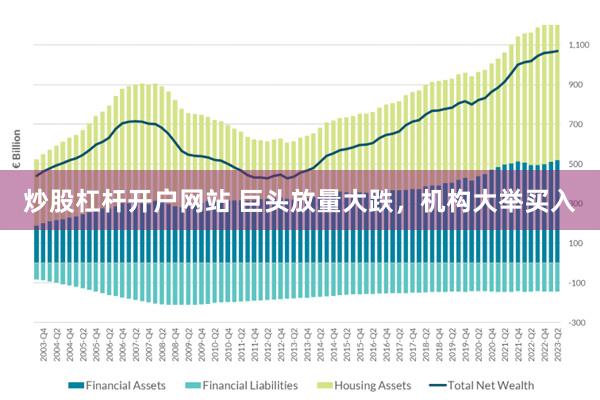 炒股杠杆开户网站 巨头放量大跌，机构大举买入