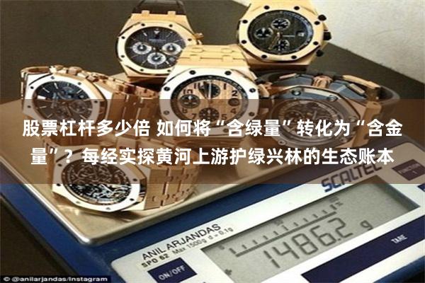股票杠杆多少倍 如何将“含绿量”转化为“含金量”？每经实探黄河上游护绿兴林的生态账本