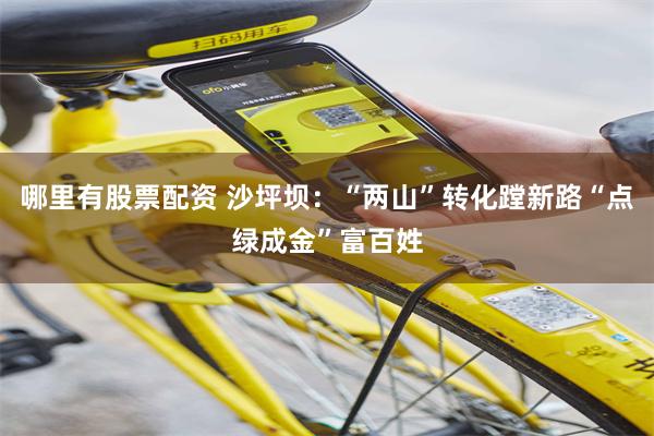 哪里有股票配资 沙坪坝：“两山”转化蹚新路“点绿成金”富百姓