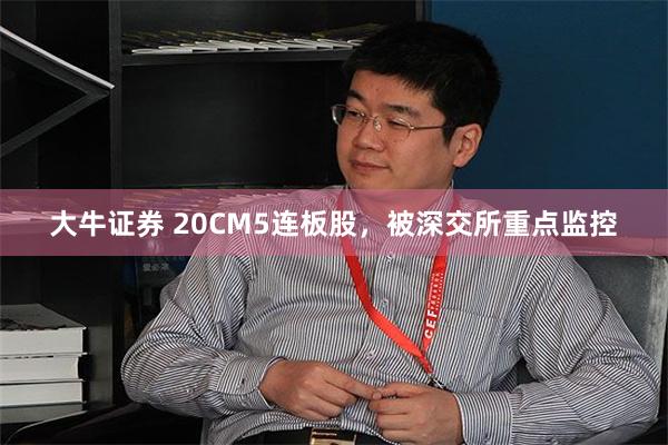 大牛证券 20CM5连板股,被深交所重点监控