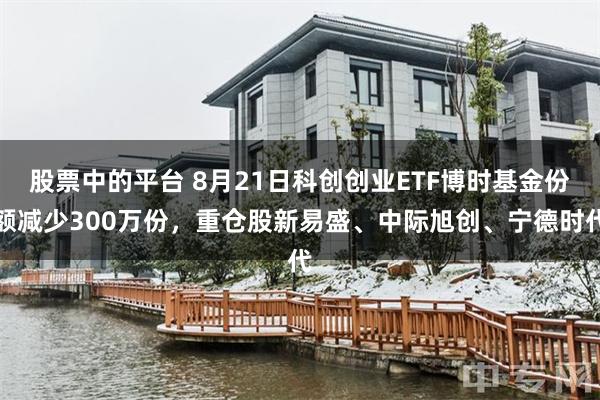股票中的平台 8月21日科创创业ETF博时基金份额减少300万份，重仓股新易盛、中际旭创、宁德时代